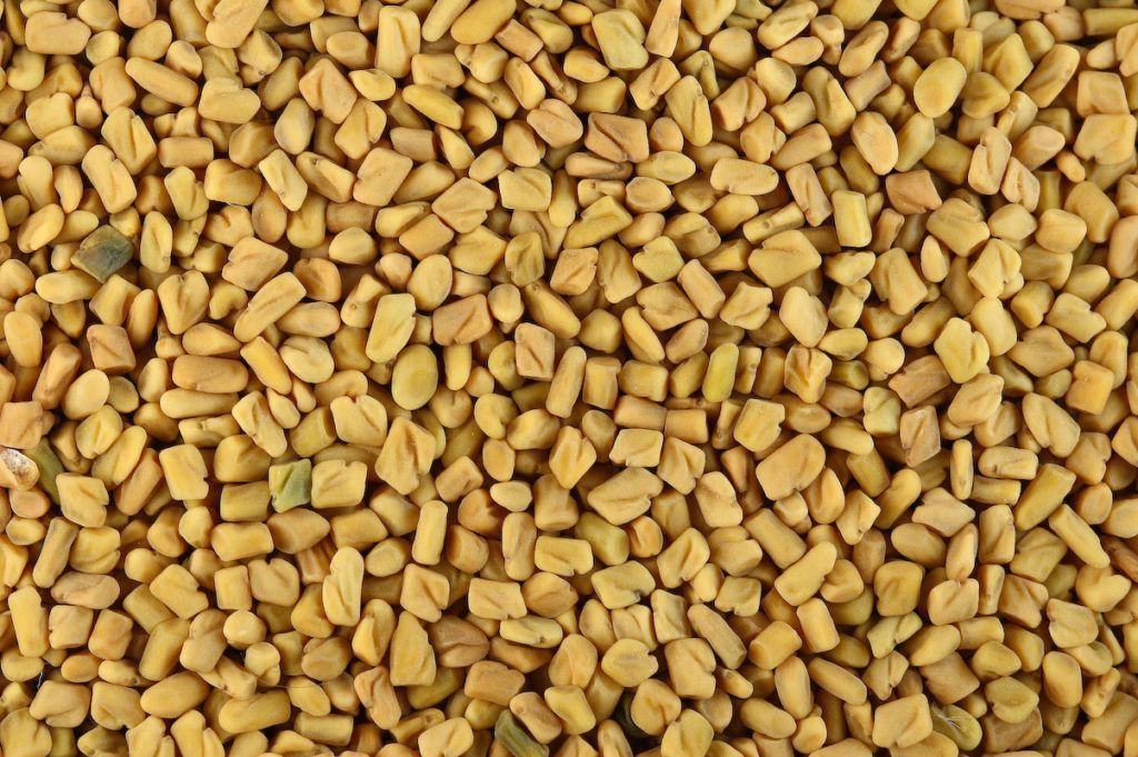 Fenugreek Seeds Fenugreek Seeds